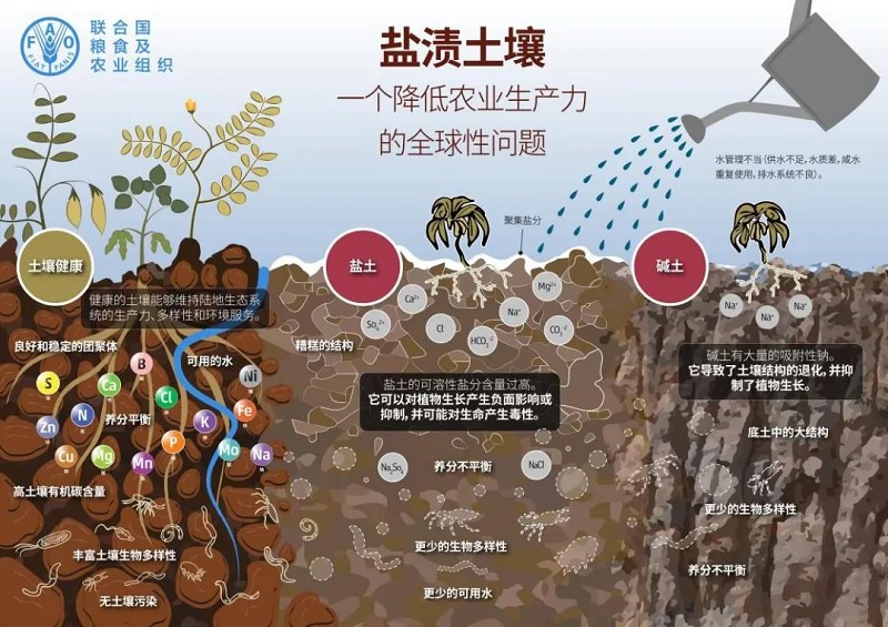 我國土壤環(huán)境管理政策進(jìn)展與展望