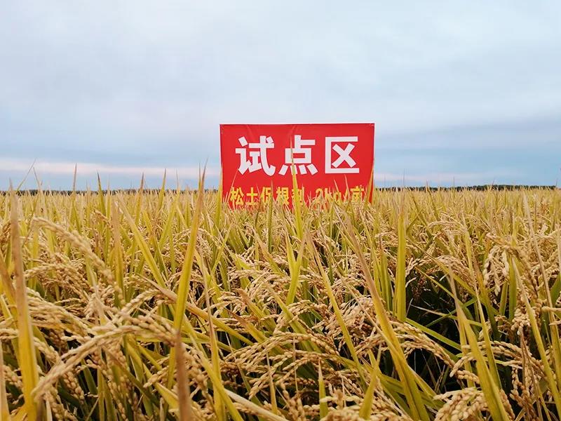 聚焦要害短板　加快推動(dòng)農(nóng)業(yè)科技進(jìn)步——農(nóng)業(yè)農(nóng)村部科技教育司負(fù)責(zé)人就《“