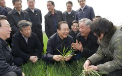 松土促根劑得到專家驗收